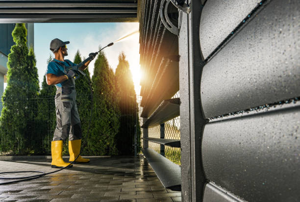 Best Graffiti Removal  in Chebanse, IL