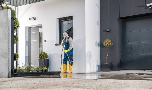 Best Driveway Pressure Washing  in Chebanse, IL